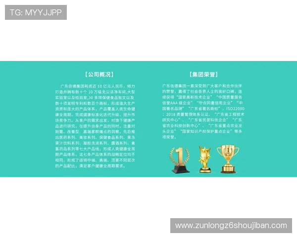 尊龙集团简介：客户服务体系与品牌价值塑造的核心内容