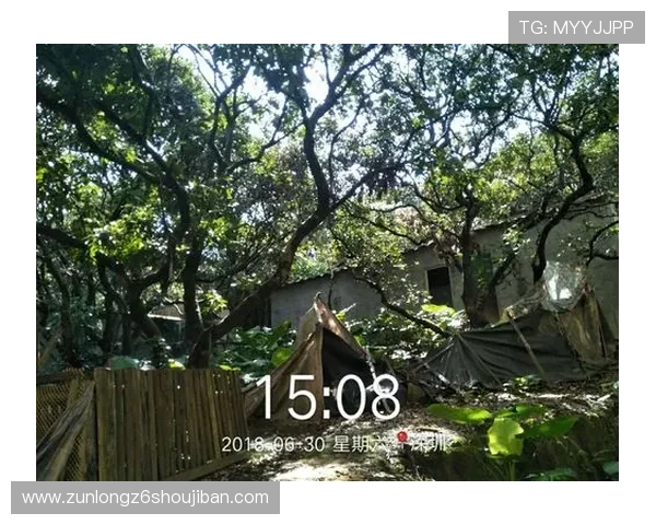 如何快速找到杏悦娱乐平台登录地址,确保账号安全与顺畅体验 如何快速找到杏悦娱乐平台登录地址,确保账号安全与顺畅体验