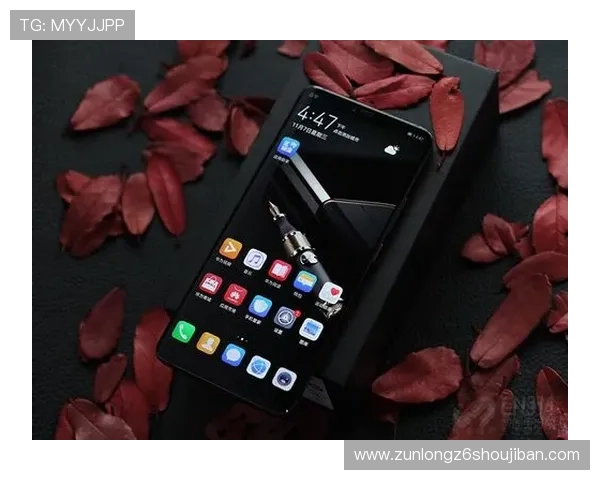 尊龙凯时旗舰厅官网：平台技术保障与用户隐私保护措施详解