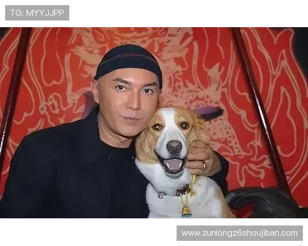 最新AG·尊龙官方网站入口推荐，确保玩家安全顺畅登录尊龙游戏平台享受丰富游戏内容